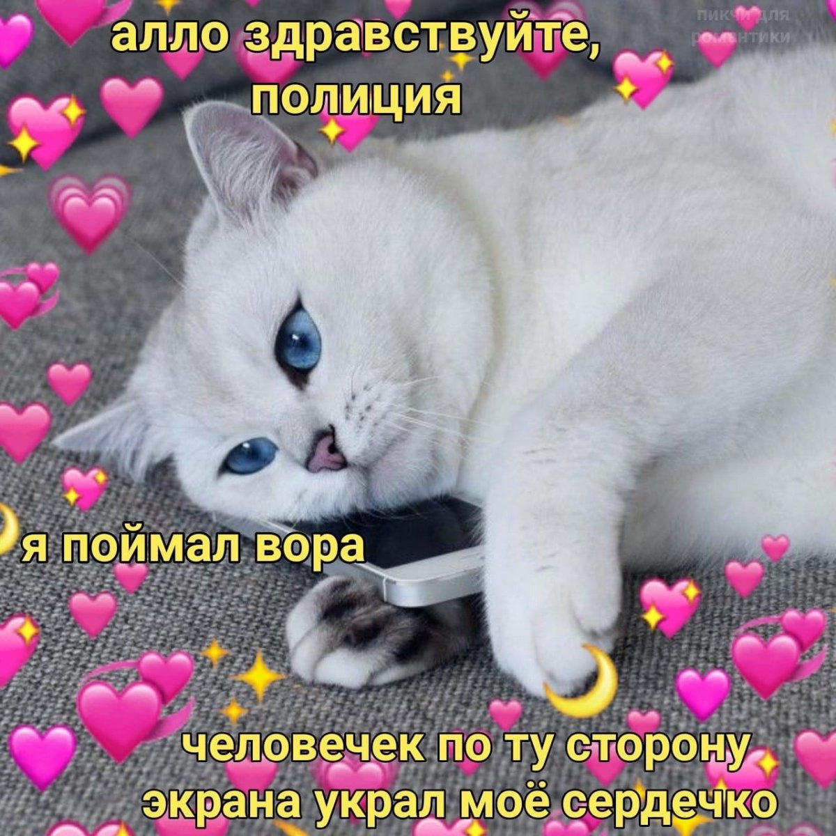 Милые слова