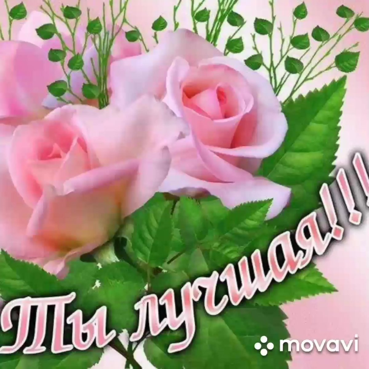 Цветы для милой подруги