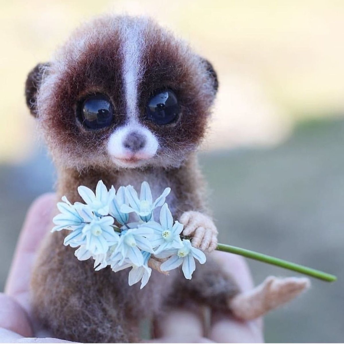 Няшные собаки