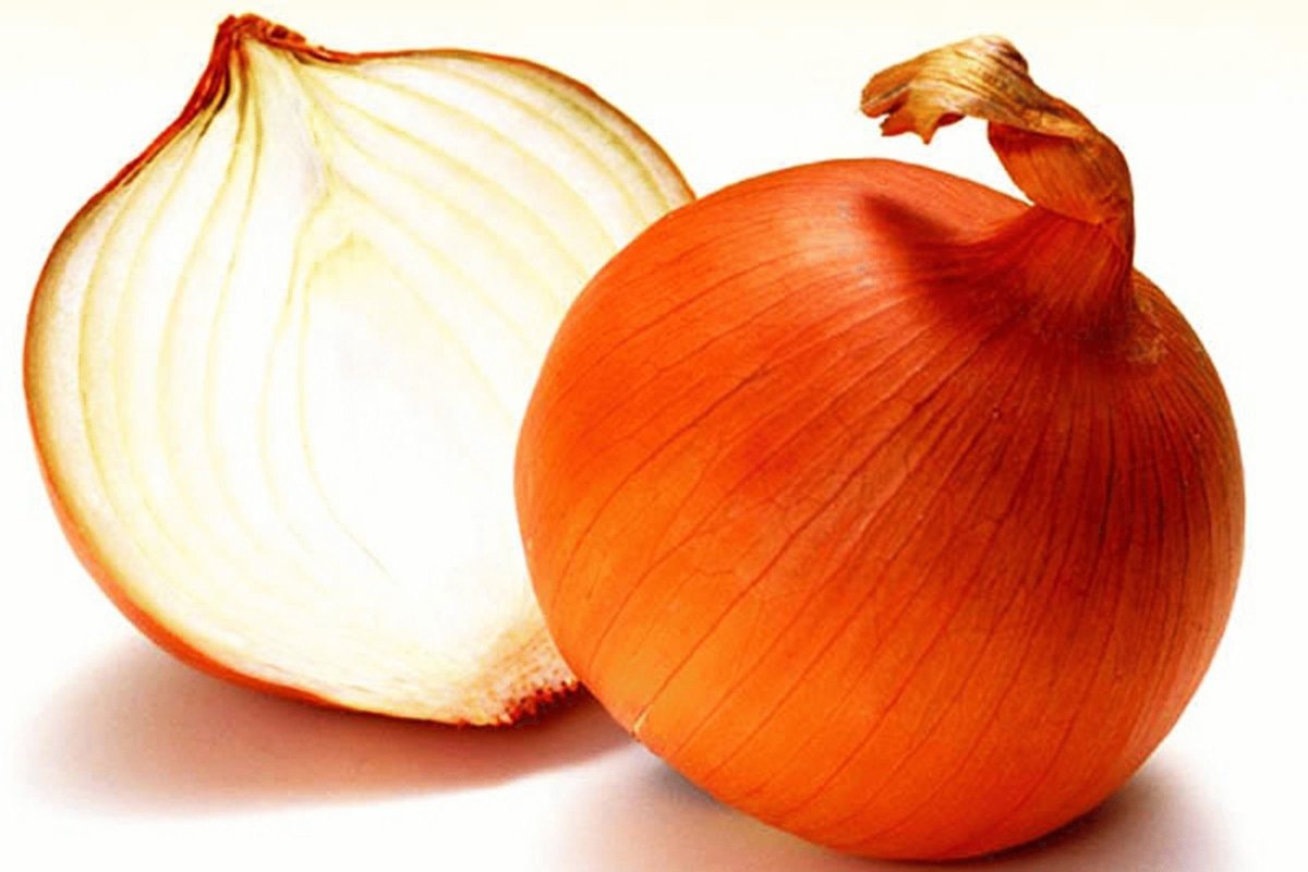 Луковица на белом фоне