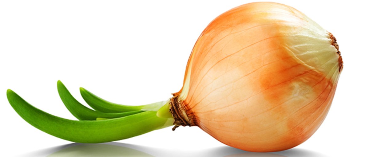 Нарисовать лук репчатый