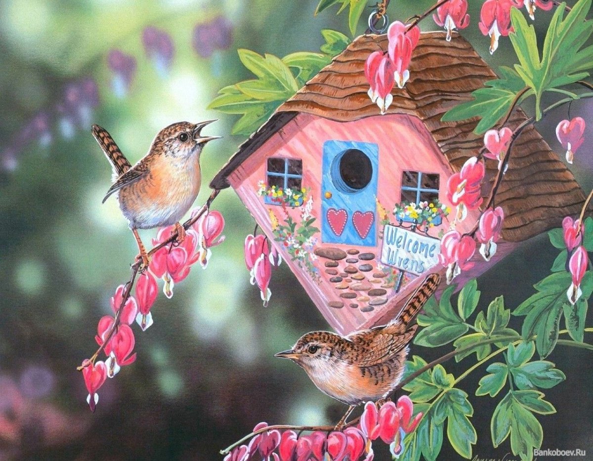 Доброе утро