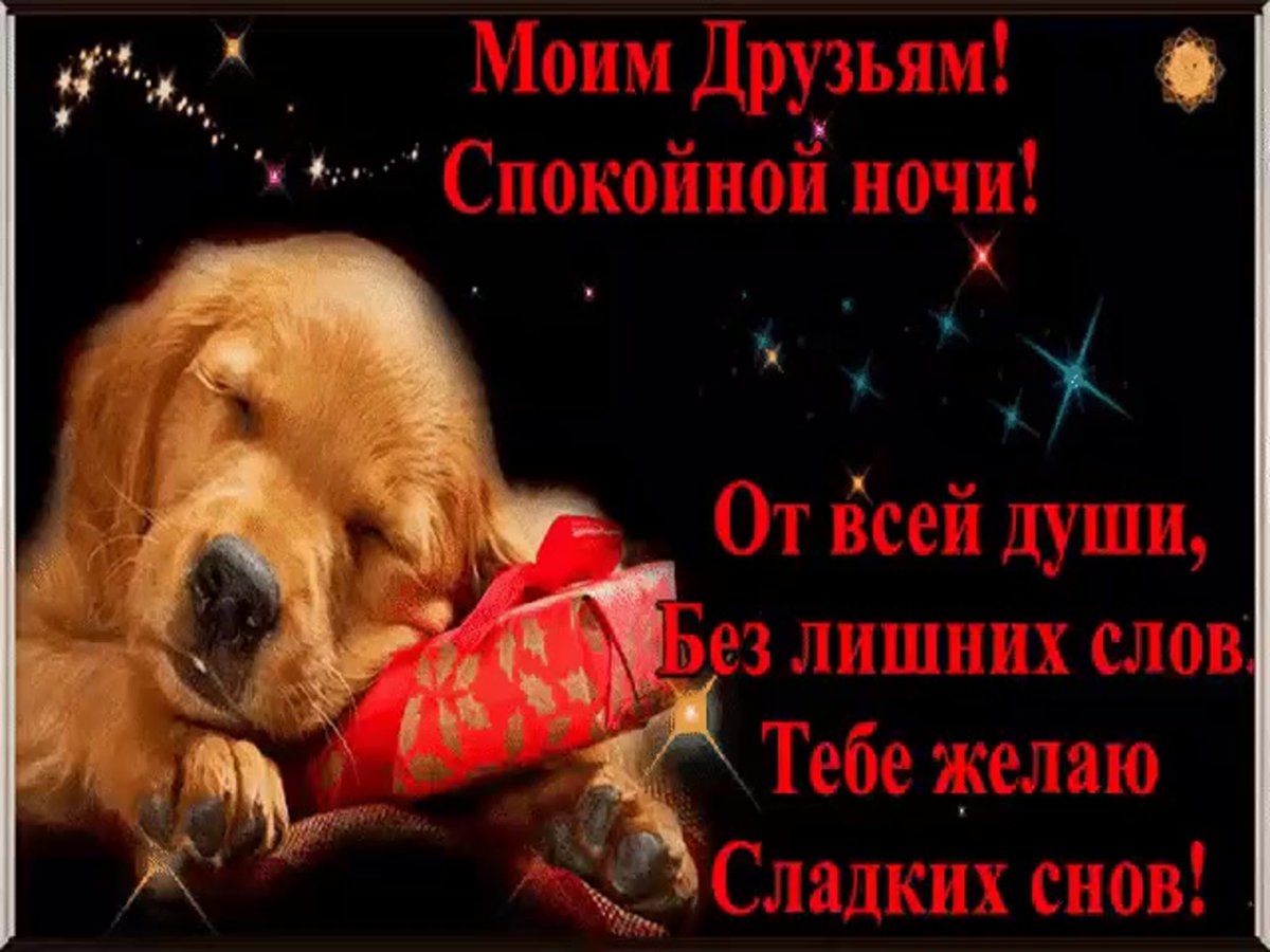 Сладких снов Бегемотик