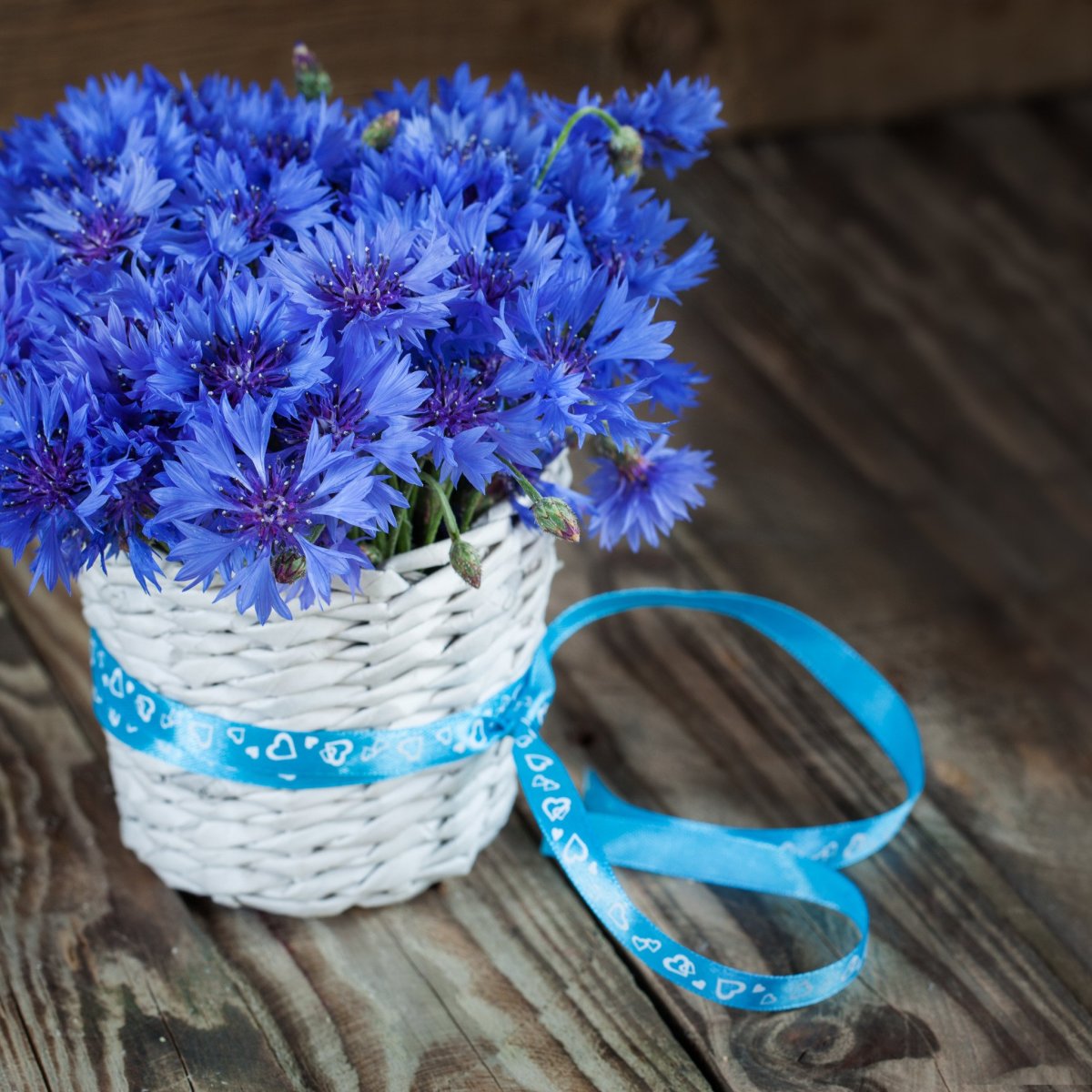 Поздравительные открытки с полевыми цветами