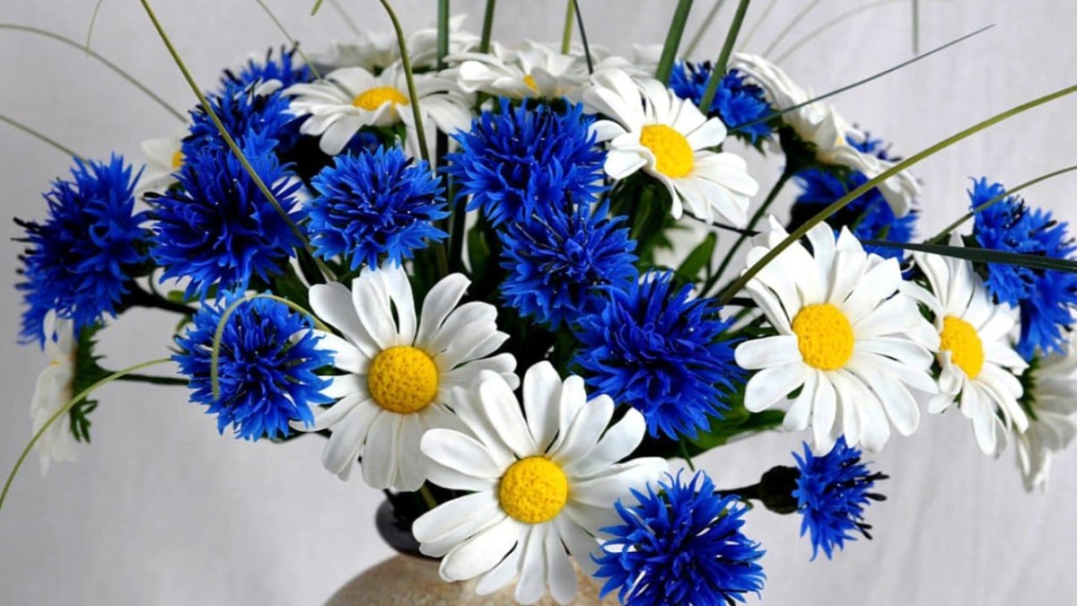 Василек Шитихин