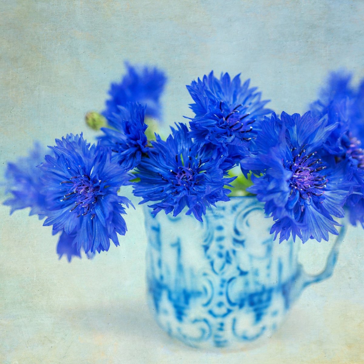 Эмменеггер букет Васильков