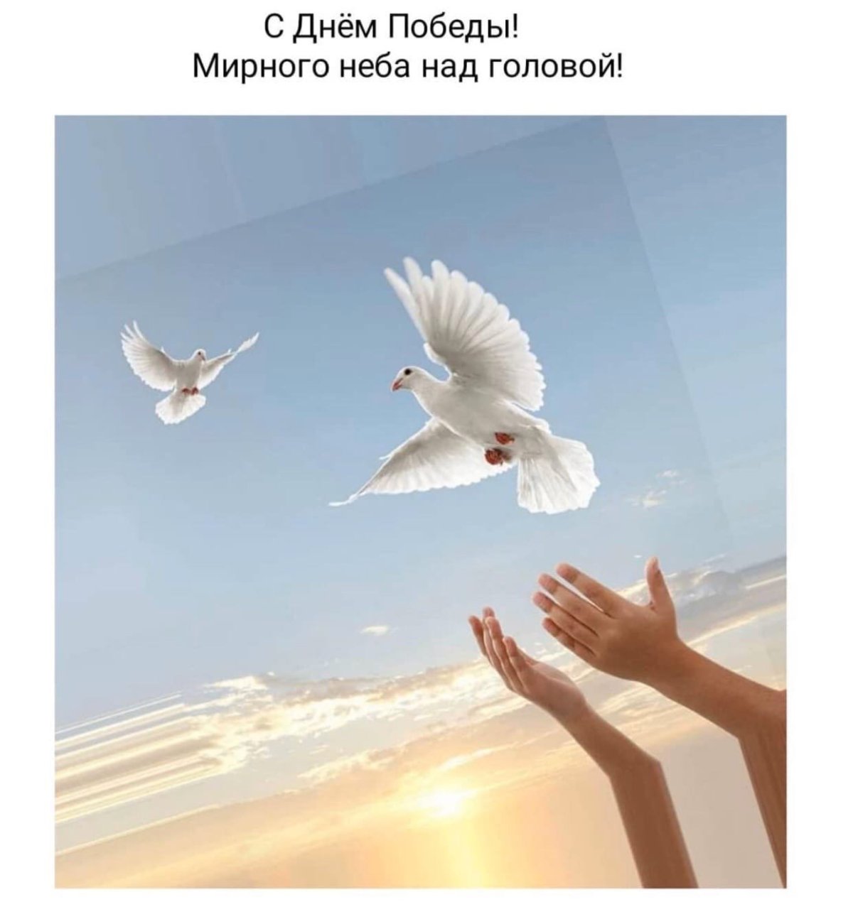 Мирного неба над головой