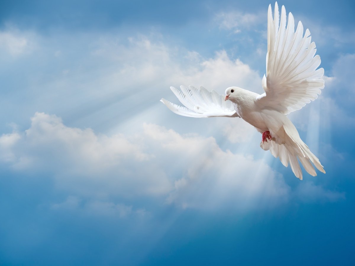 Голубое небо мир