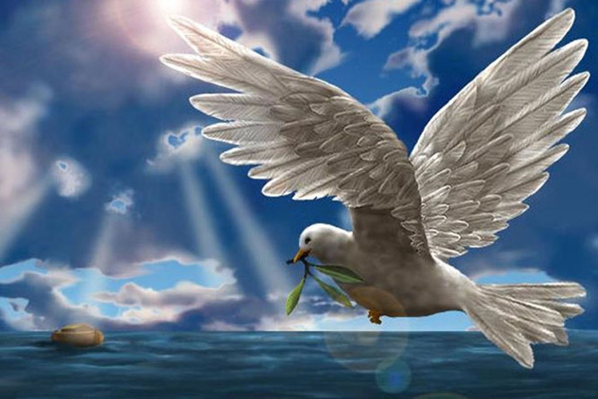 Голуби в небе