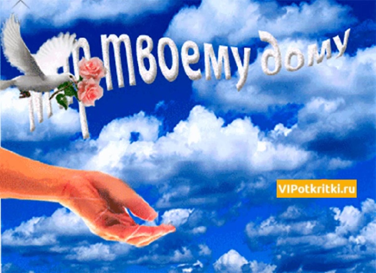 Пожелания мира и добра на земле