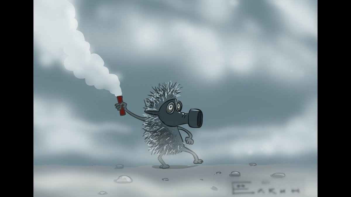 Ёжик в тумане прикольные