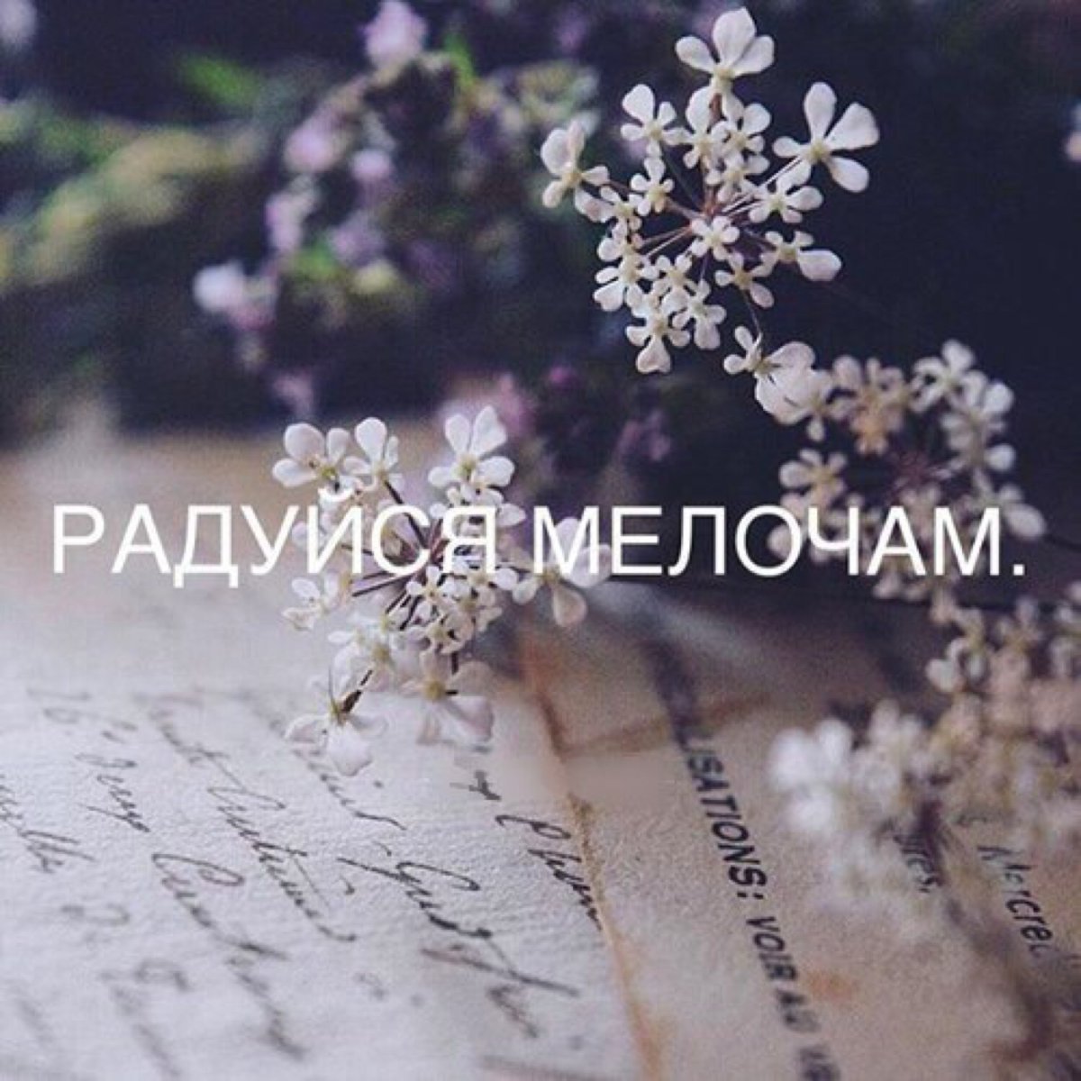 Анастасия Столбова