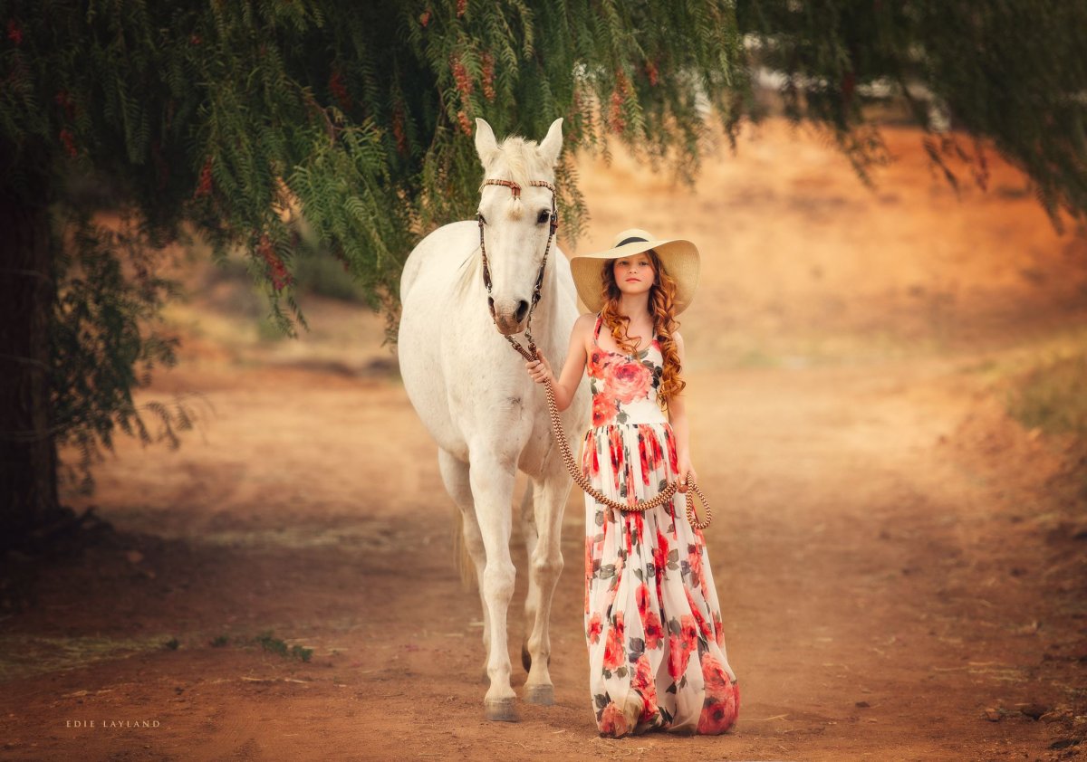 Девушка на коне