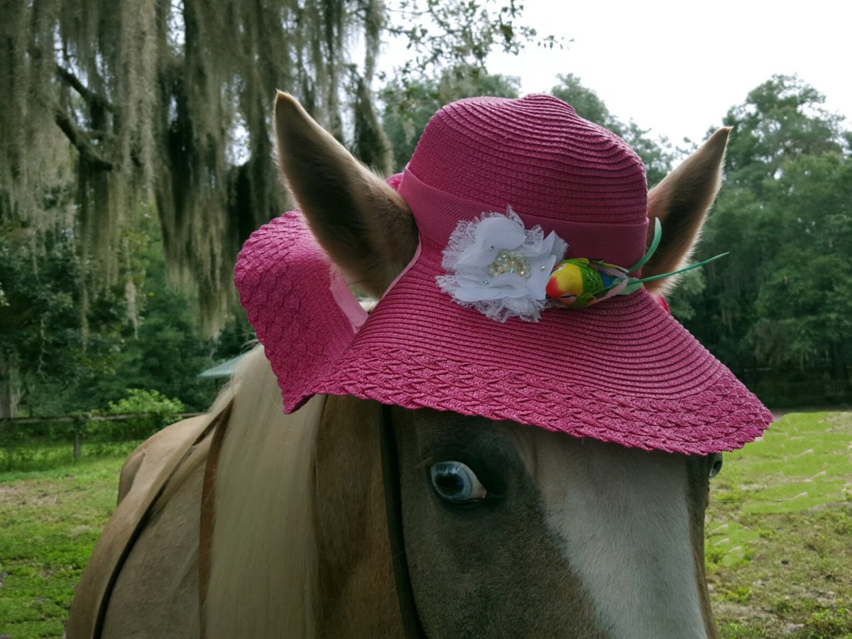 Ковбой на лошади