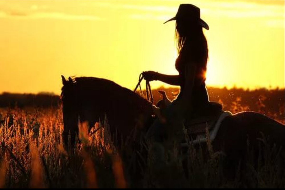 Ранчо Роберта Родригеса