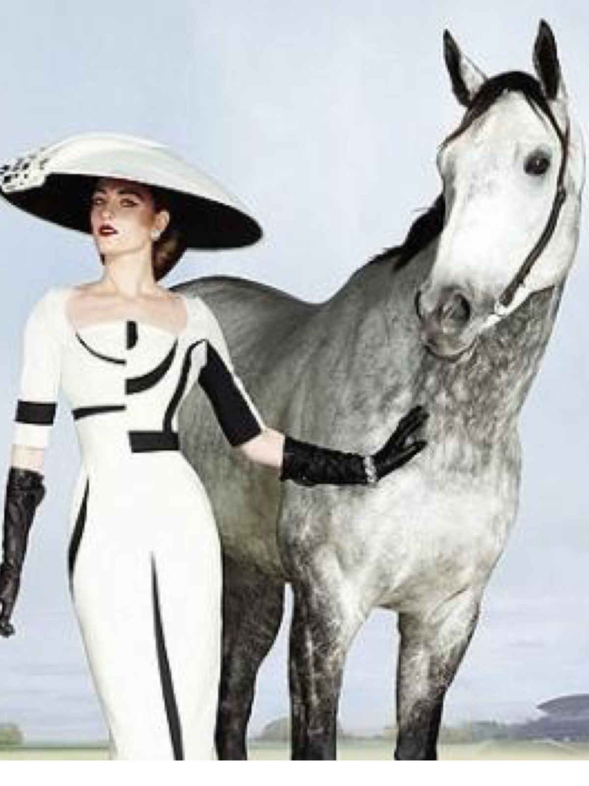 Тени ковбой на лошадях