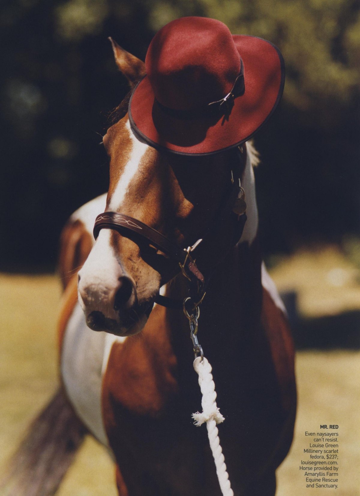 На коне в шляпе