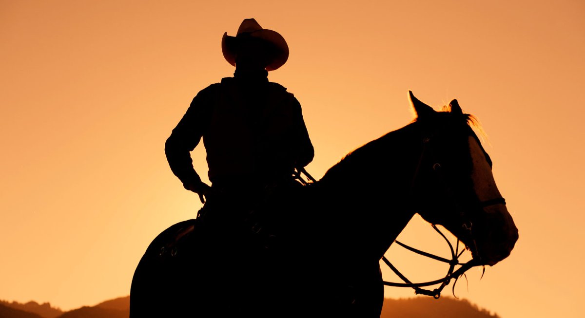 Мультяшная ковбойская лошадь