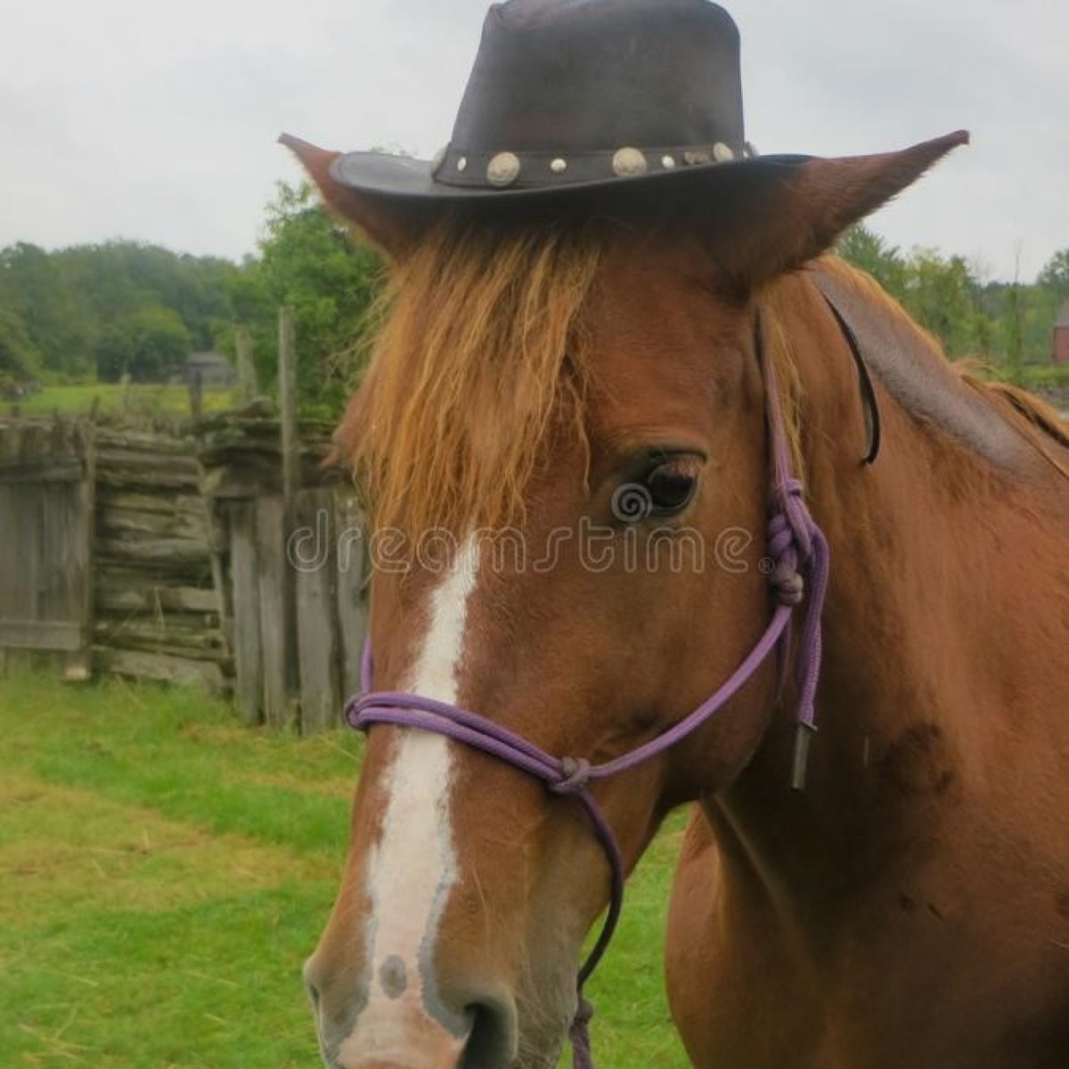 Катя Сабуканова