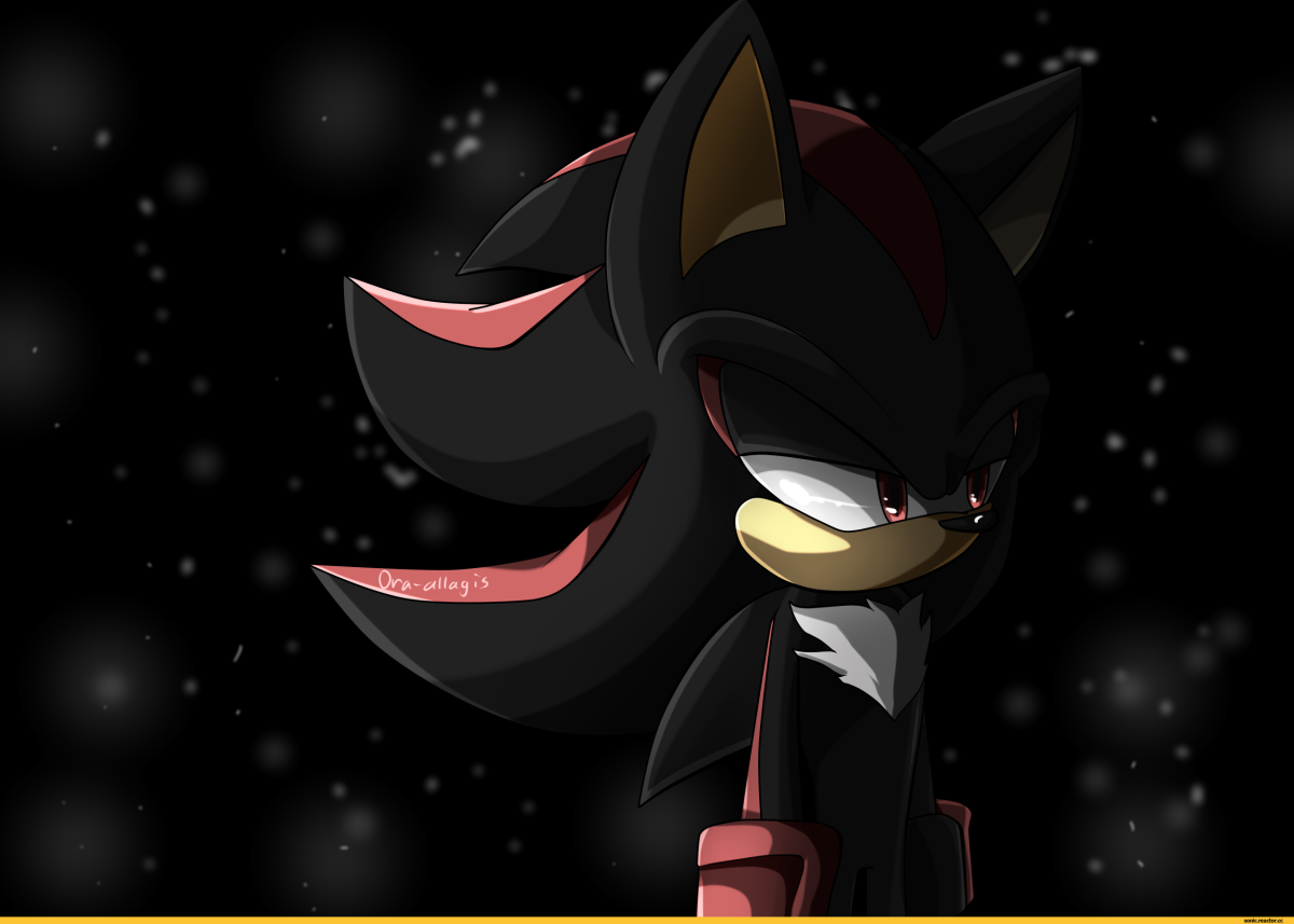 Ёж Шедоу злой