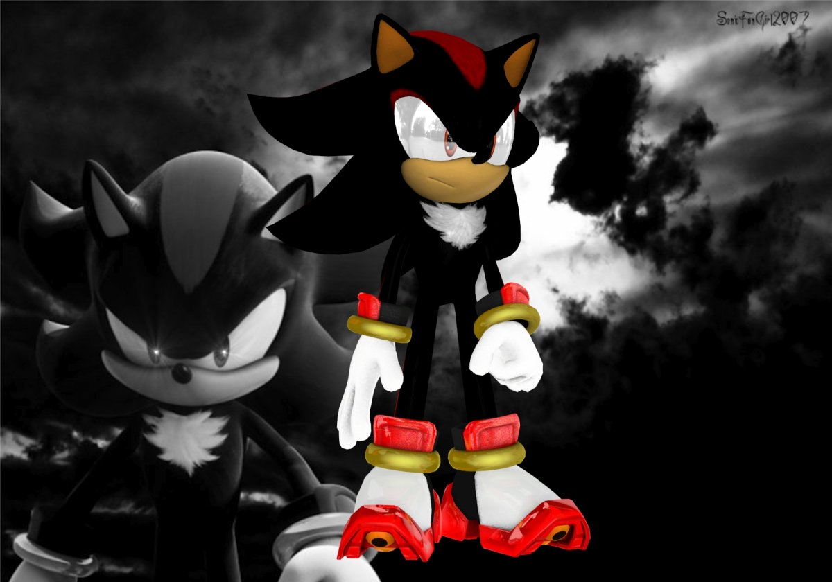 Ёж Шедоу и Соник