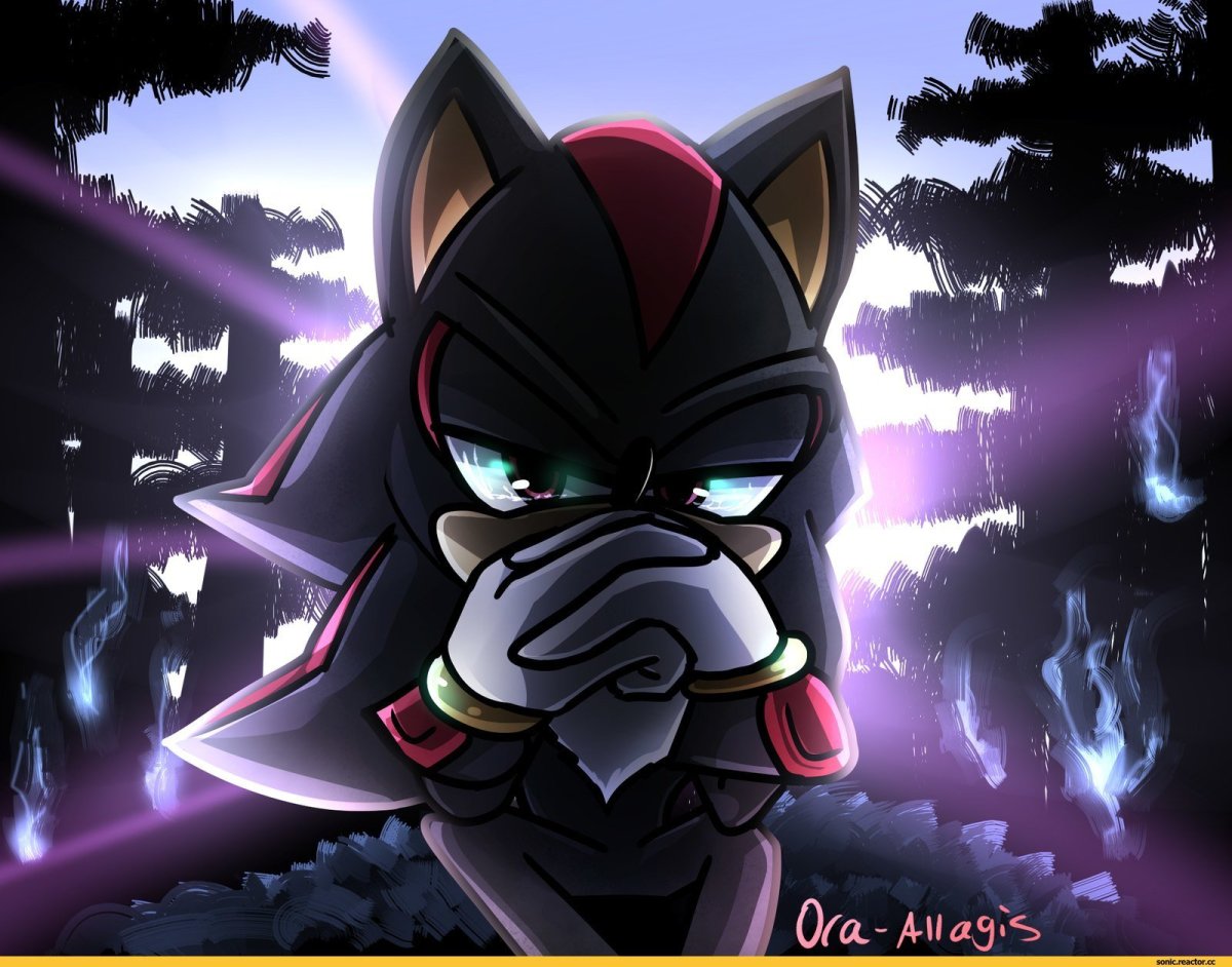 Арт Шэдоу кот