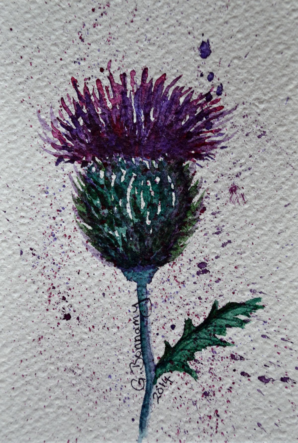 Чертополох Крайола