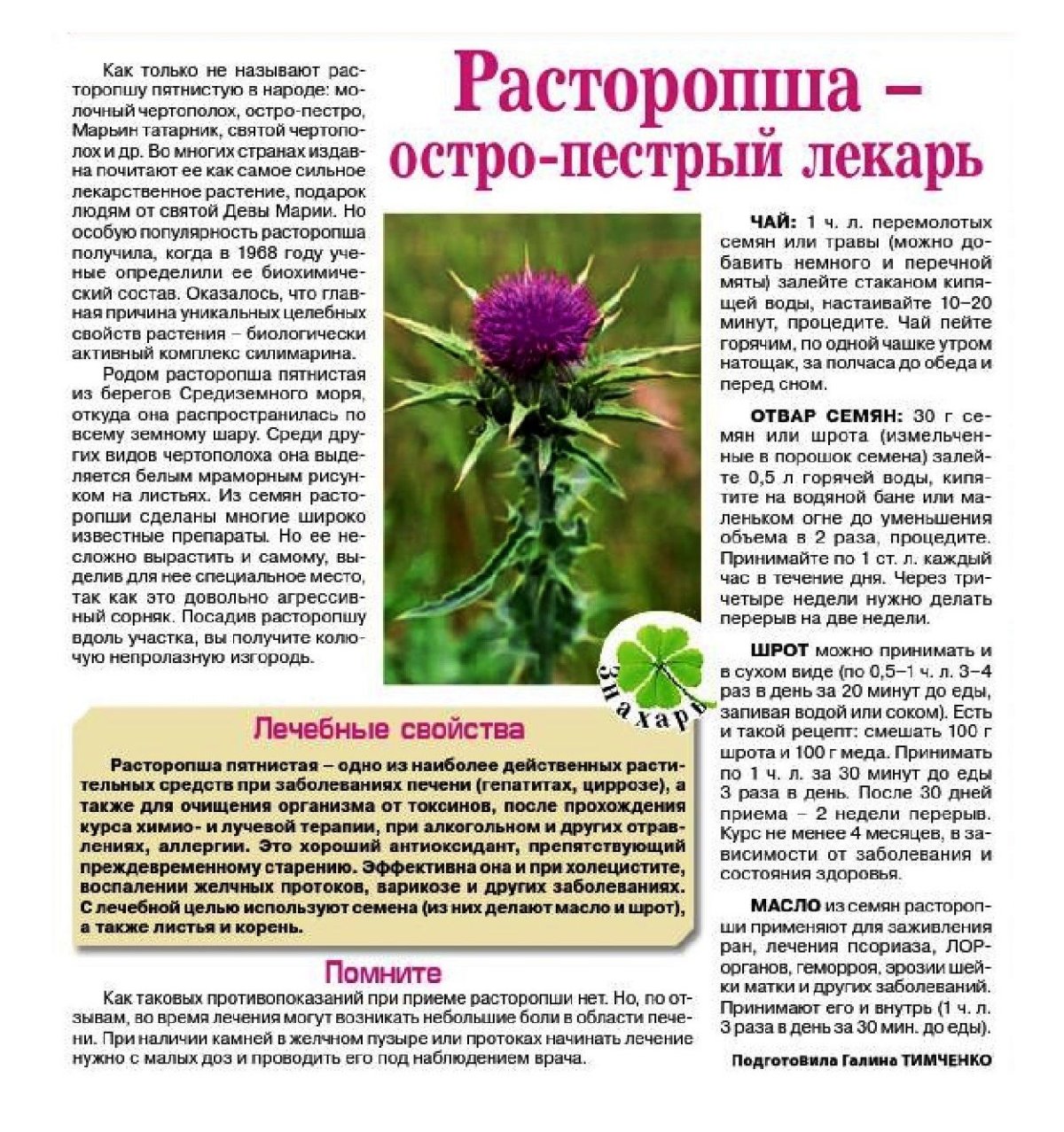 Святой чертополох или расторопша