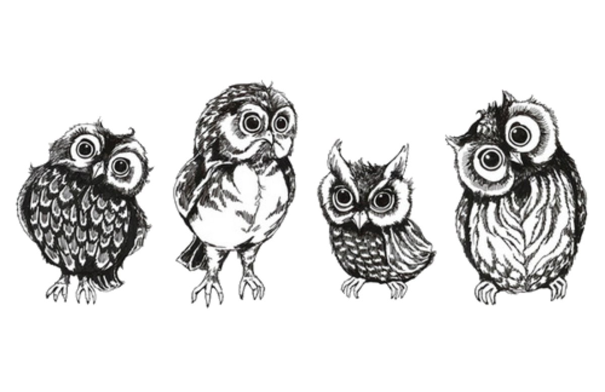 Смешные Совы Графика