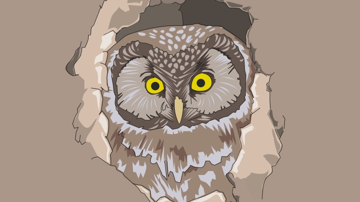 Сова арт