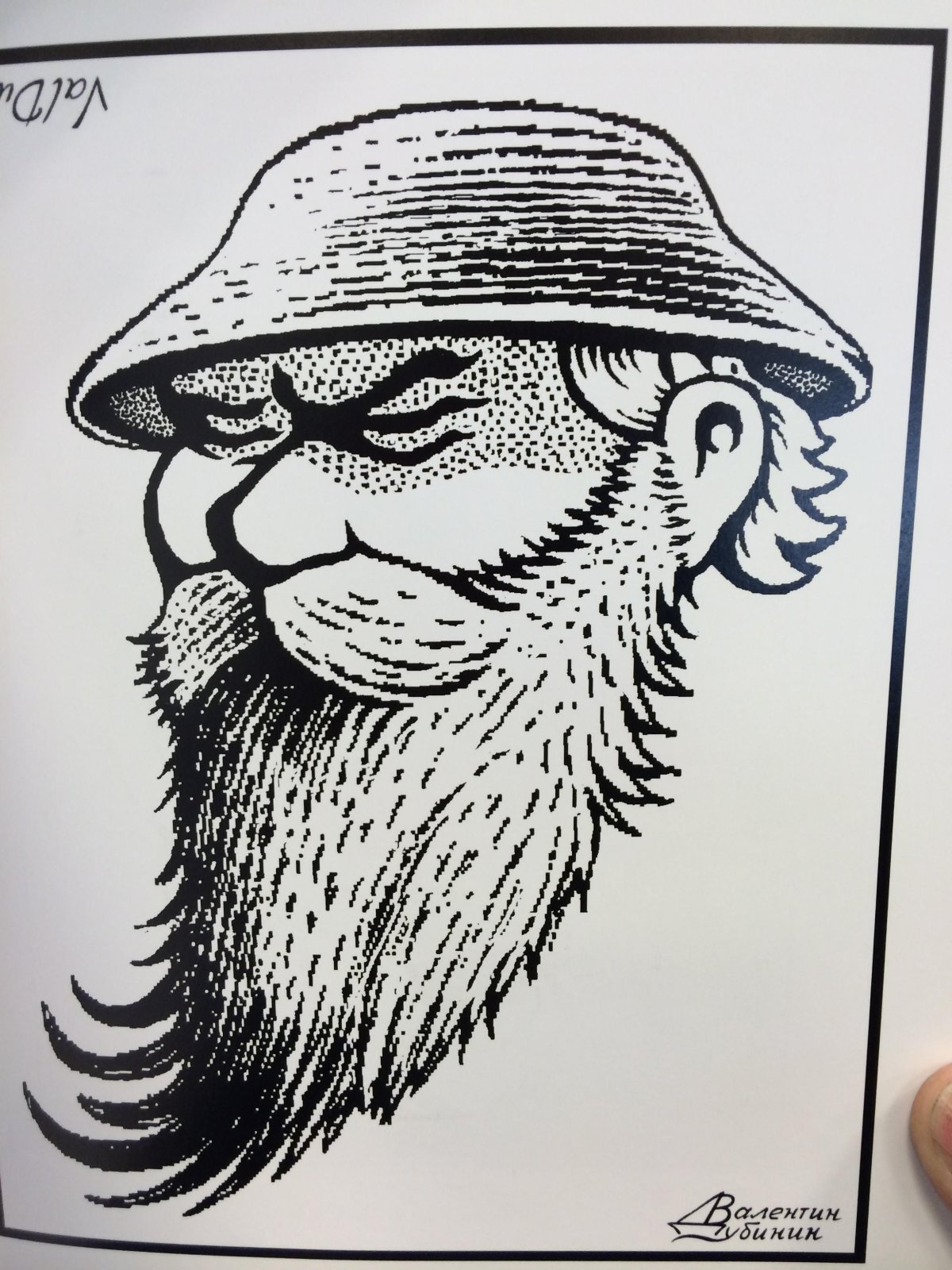 Интересные картинки перевертыши