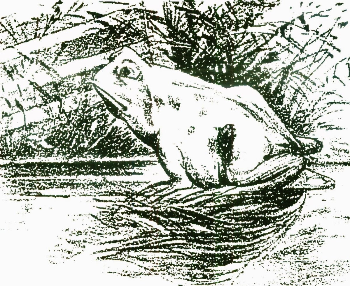 Лицо перевертыш