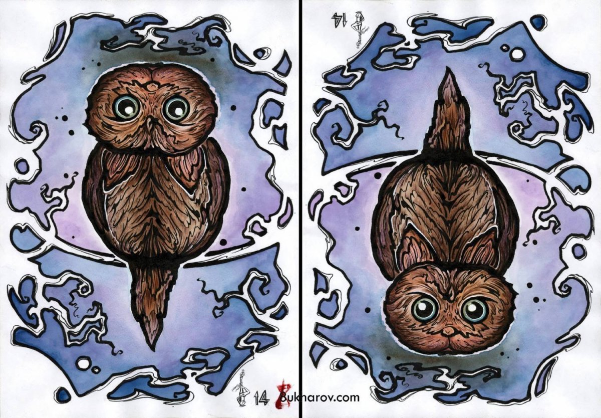 Иллюзии обман зрения перевёртыши