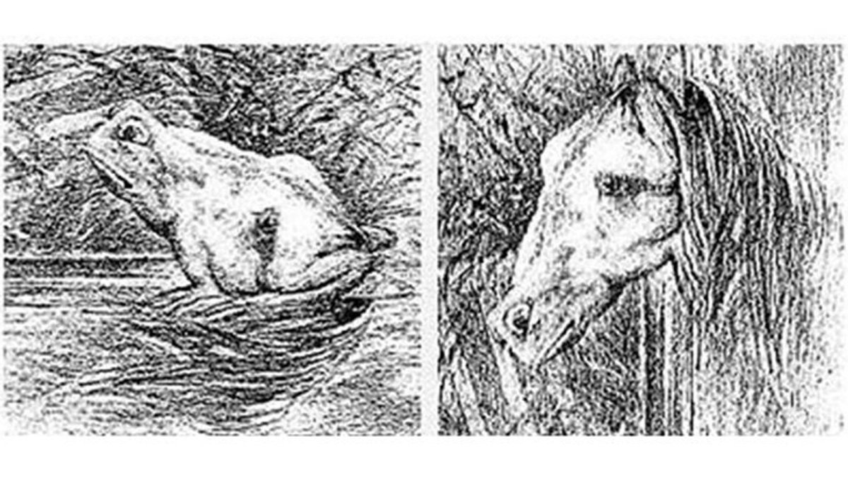 Картины перевертыши