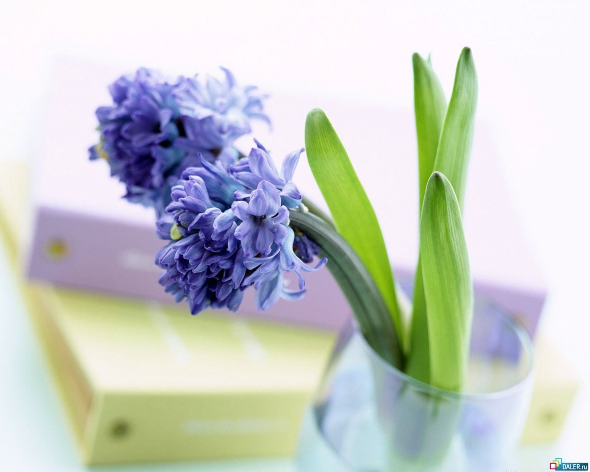 Доброго весеннего утра и хорошего дня