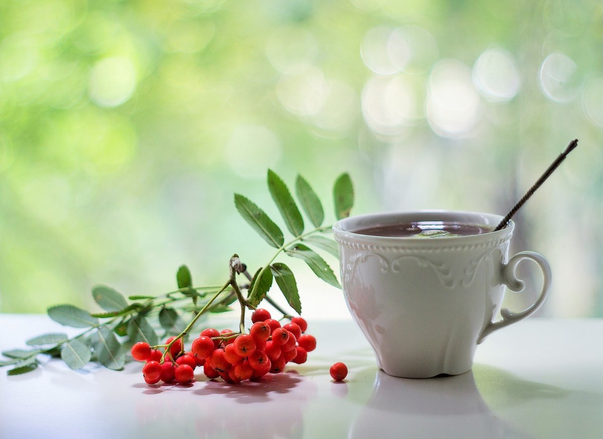 Хорошей субботы и отличного настроения