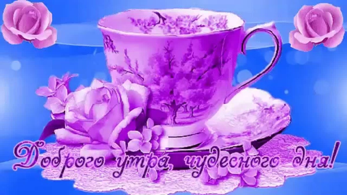 Добрых выходных и весеннего настроения