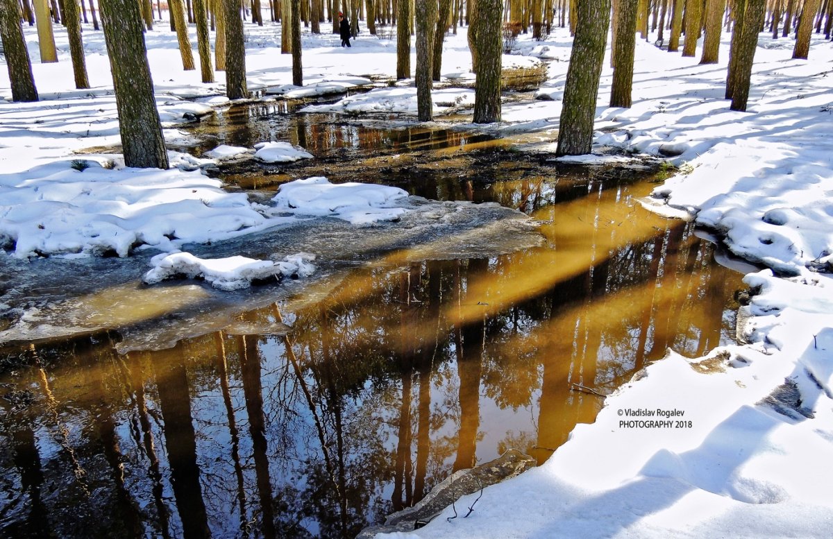 Весеннее таяние снега