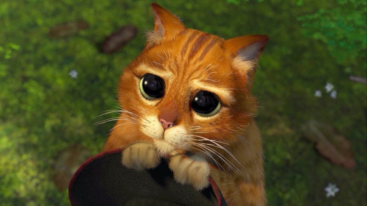 Если кого обидела простите