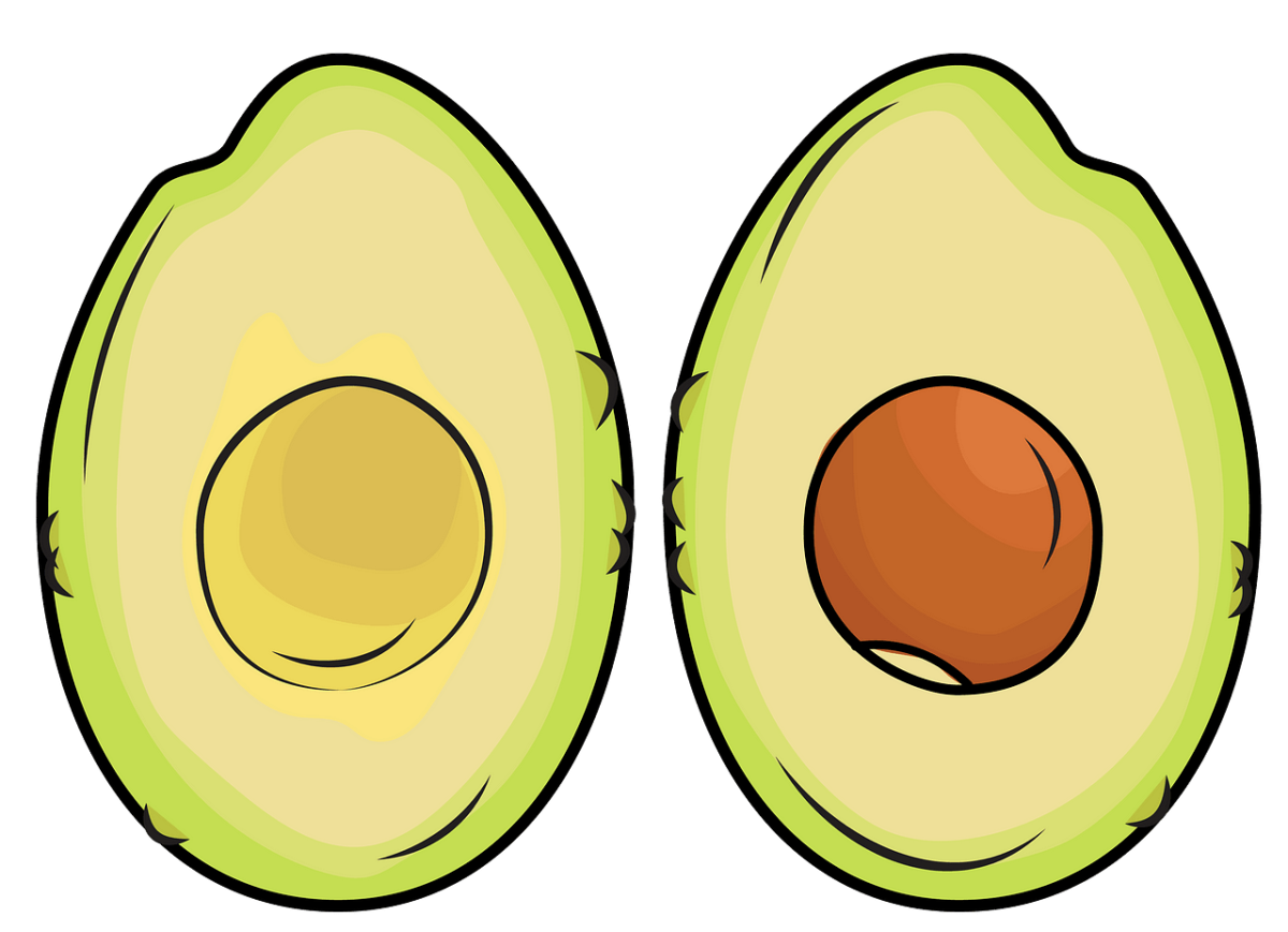 Картинка авокадо рисунок