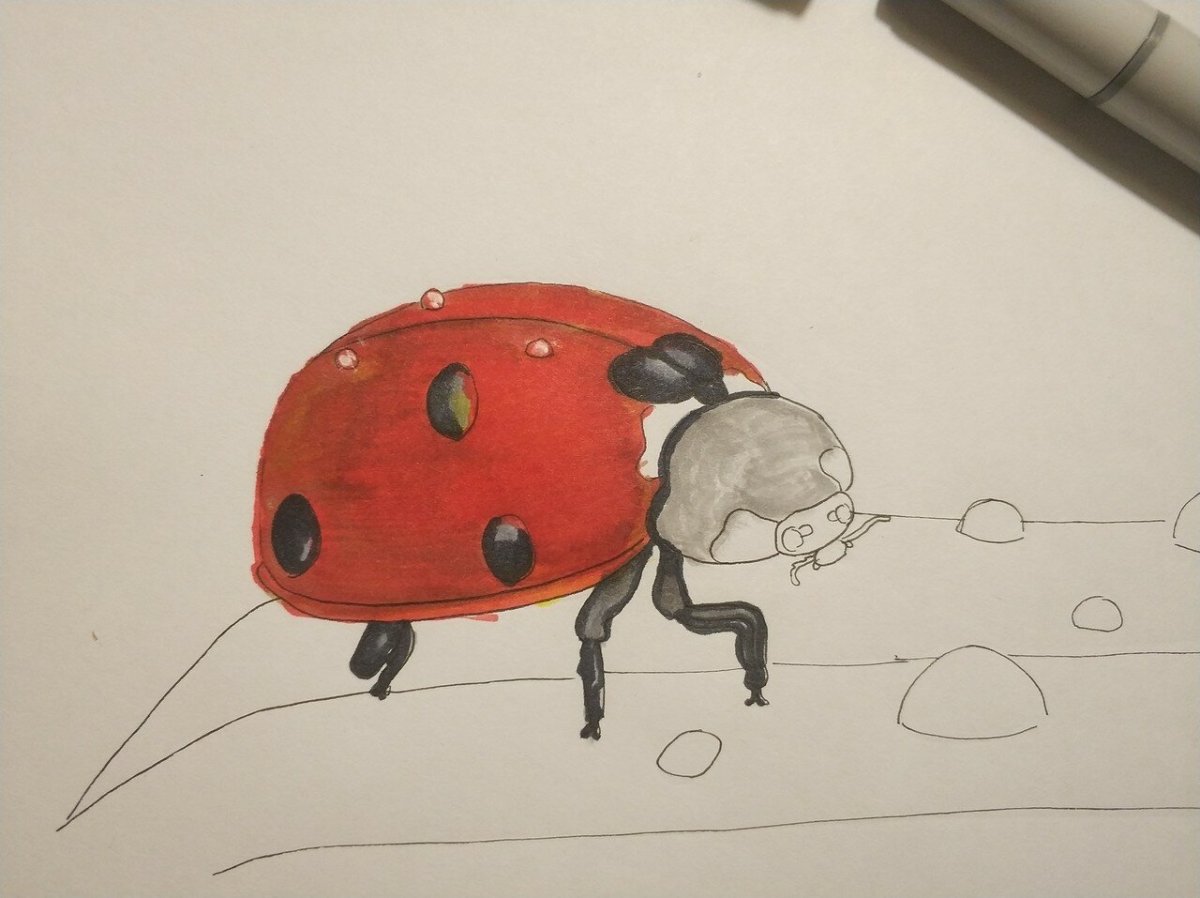 Мультяшные насекомые