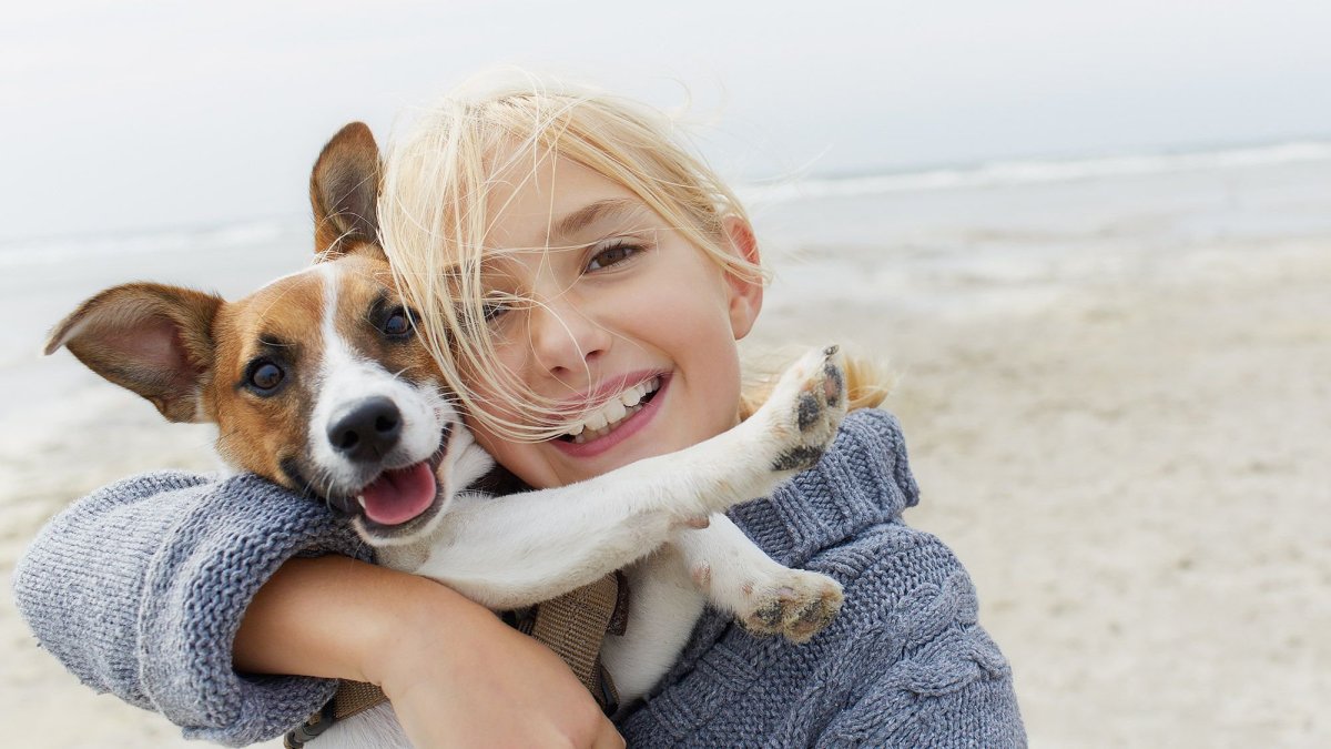 Домашние животные для детей