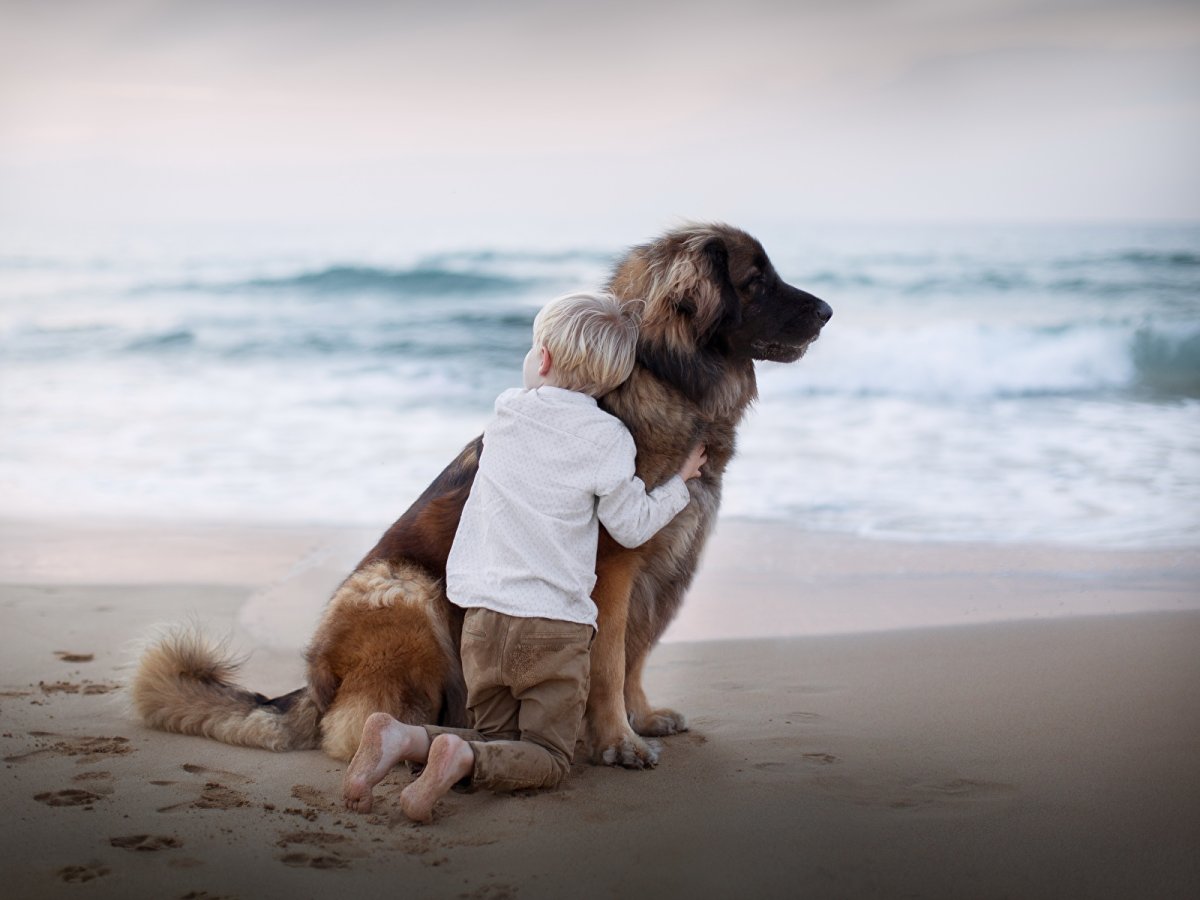 Собака для детей