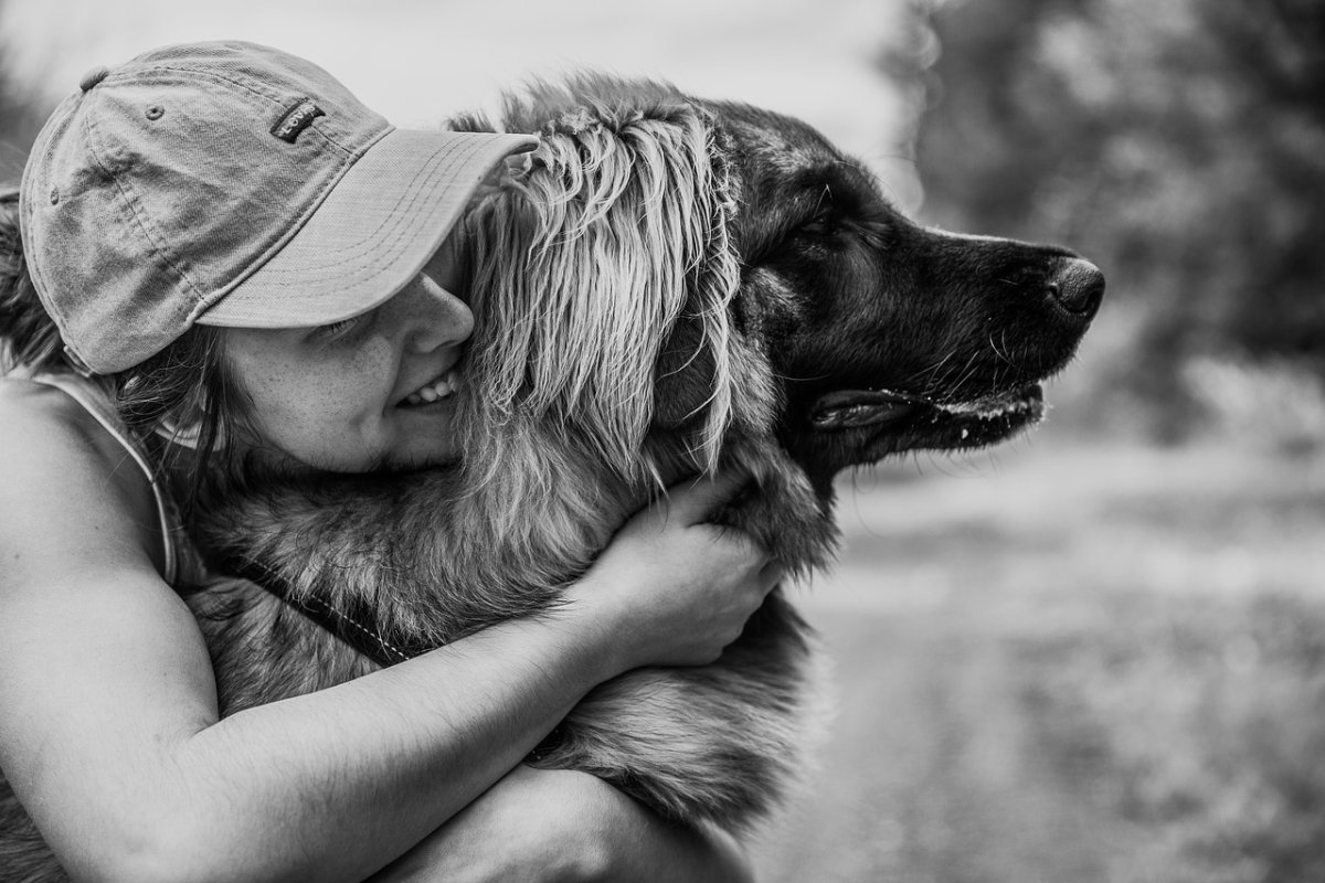 Собака друг человека