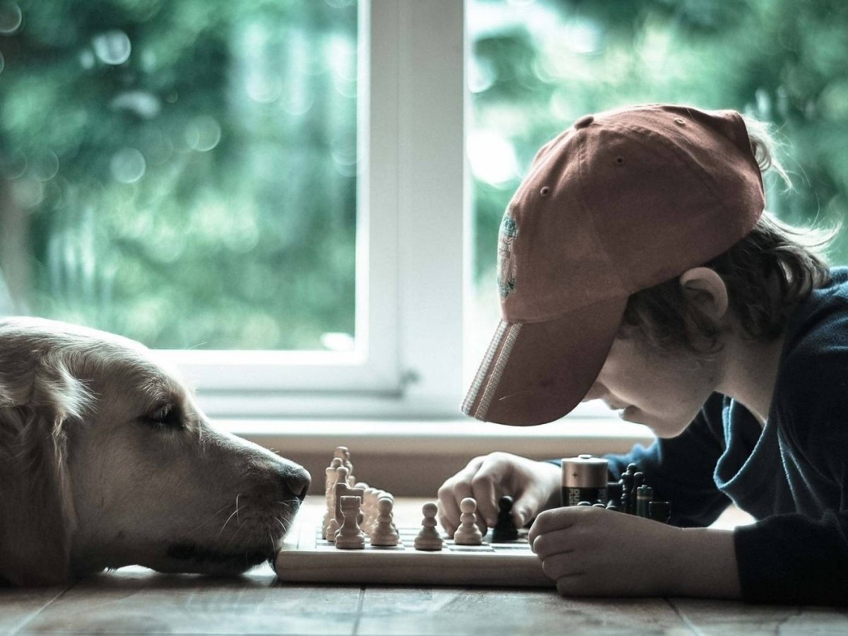 Собака друг человека