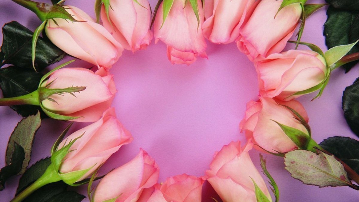 Тюльпаны в виде сердца