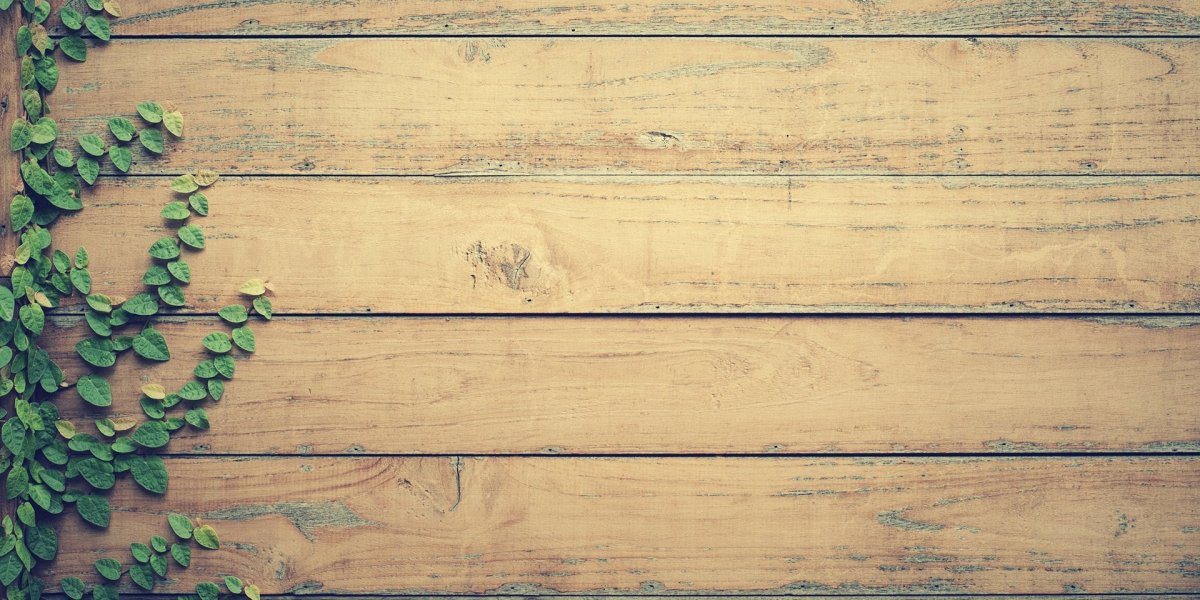 Текстура дерева