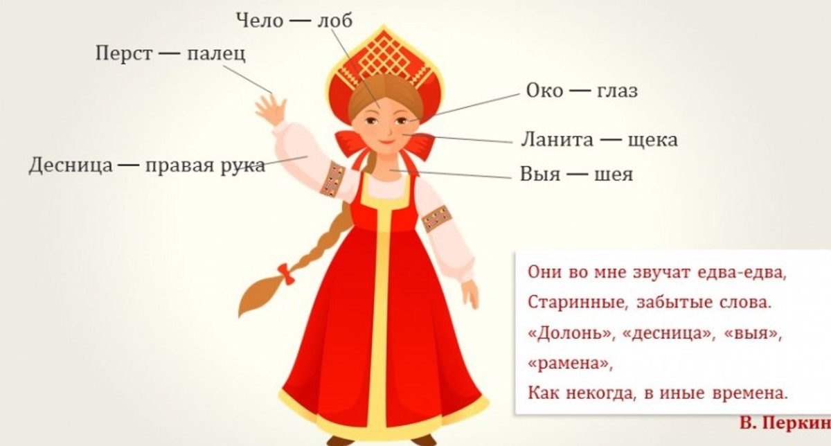 Старорусские названия частей тела