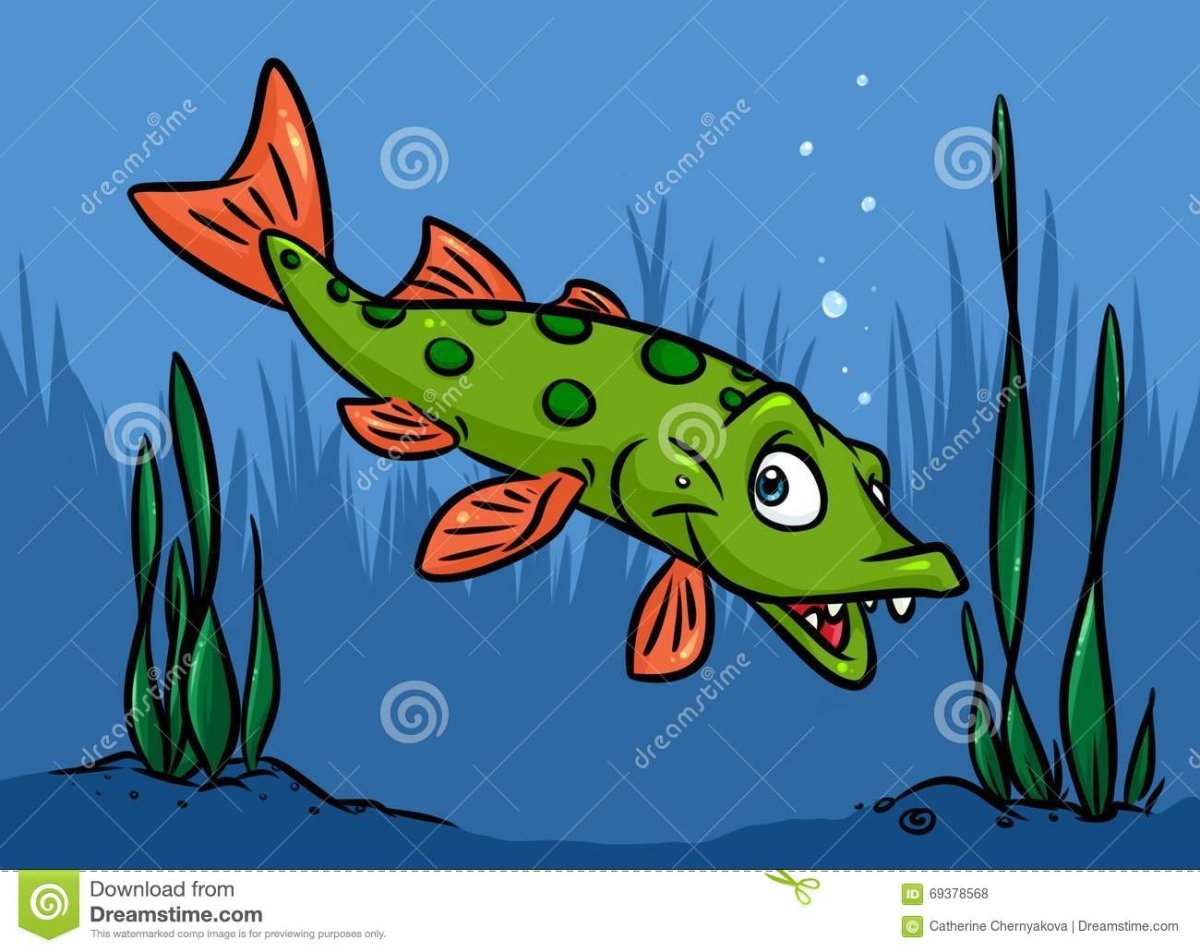 Щука цветная для детей