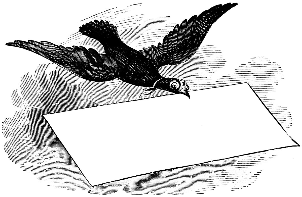 Голубь с письмом в клюве